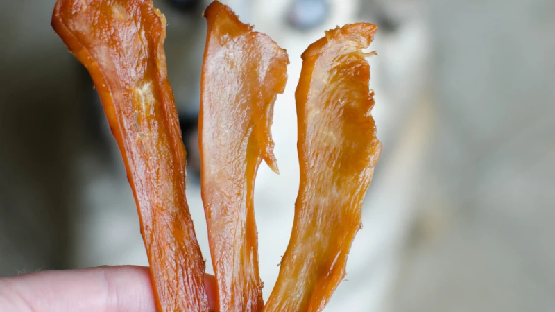Chicken Jerky For Dogs Recipe Oven