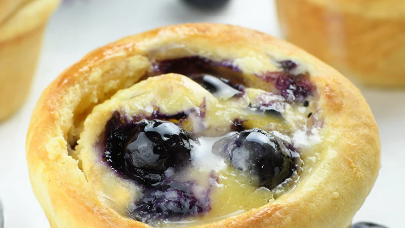 Pillsbury Crescent Roll Blueberry Dessert Recipes
