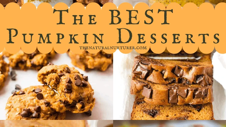 Pumpkin Dessert Recipes Healthy