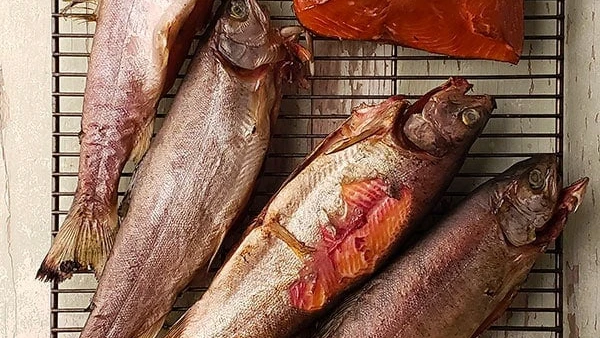 Smoked Fish Recipes Trout